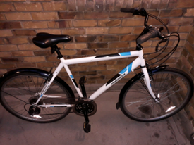 muddyfox voyager 100